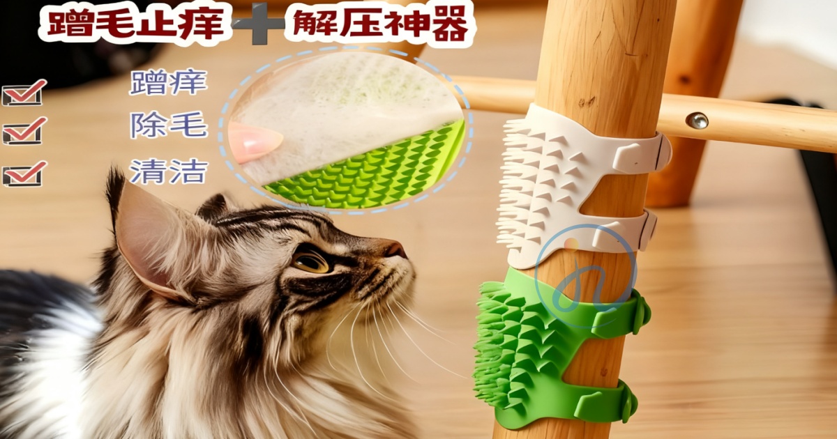 宠物护理用品.jpg
