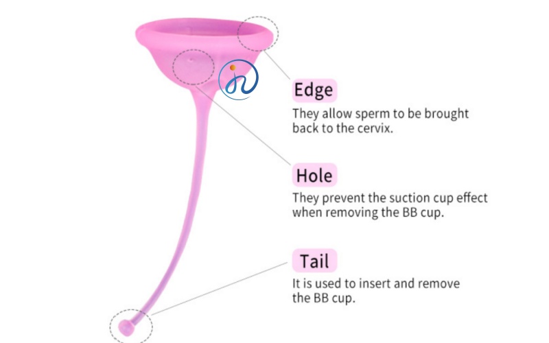 BB Cup助孕杯易孕杯.jpg